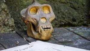 Anatomy and Anthropological Biology seminar