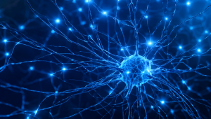 Neuroscience and Brain Disorders seminar