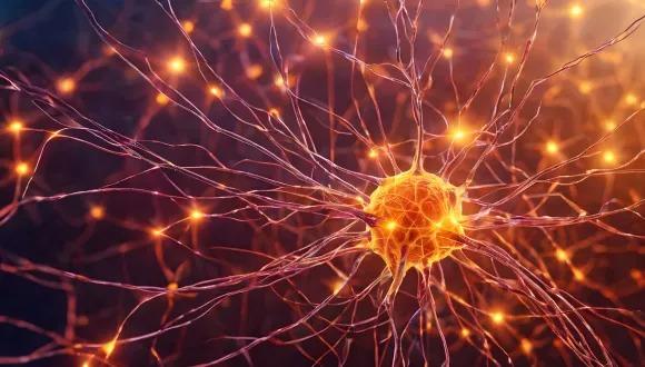 Neuroscience and Brain Disorders seminar