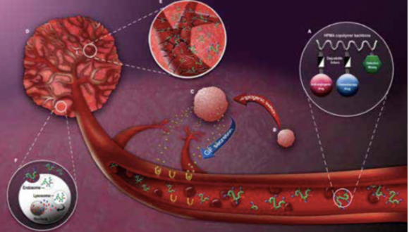 Polymer Therapeutics to treat angiogenic tumors