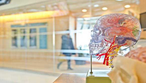 The Prajs-Drimmer Institute for development of Anti-Degenerative Drugs